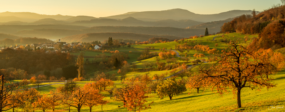Herbstliche Hügellandschaft mit golden gefärbten Bäumen bei Nuglar, Baselbiet Schweiz – Jan Geerk Fotograf Basel