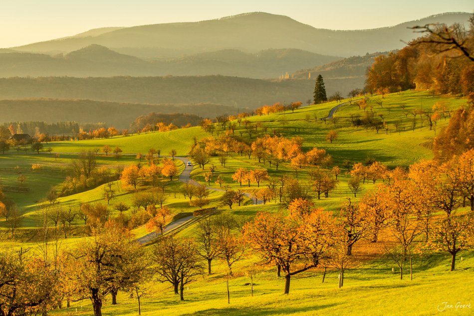 Herbstliche Hügellandschaft mit golden gefärbten Bäumen in Nuglar, Baselland, Schweiz – Jan Geerk Fotograf Basel