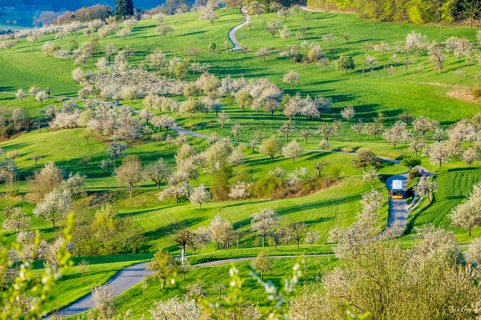 Kirschblüte in Nuglar mit grünen Wiesen, blühenden Bäumen und Bächen, Frühlingsstimmung im Baselbiet Schweiz – Jan Geerk Fotograf Basel