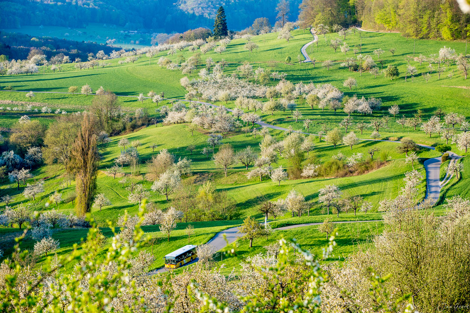 Kirschblüte Nuglar Frühling Baselbiet grüne Wiesen Luftaufnahme Schweiz Jan Geerk Fotograf Basel