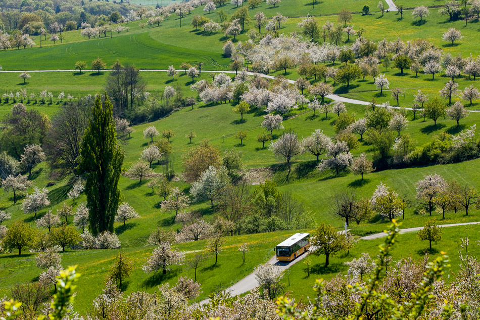 Blütenlandschaft im Jura mit blühenden Obstbäumen, grünen Wiesen und einer gelben Bahn im Frühling in der Schweiz – Jan Geerk Fotograf Basel