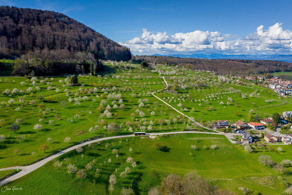 Luftaufnahme Nuglar-St. Pantaleon mit Kirschblüte im Frühling, grüne Landschaft Nordwestschweiz Schweiz – Jan Geerk Fotograf Basel