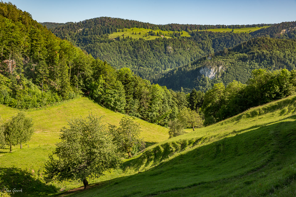 Grüne Hügellandschaft mit Wäldern und Wiesen in Nunningen, Sommerliches Kantlicht, Baselland Schweiz – Jan Geerk Fotograf Basel