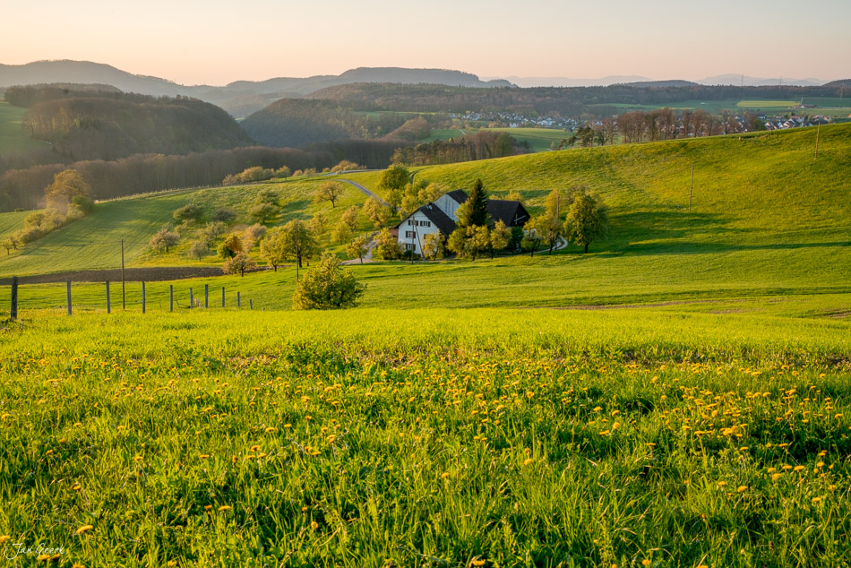 Blühendes Frühjahrstal mit Bauernhaus in Oltingen, grüne Wiesen und Wälder in der Ferne, Schweiz – Jan Geerk Fotograf Basel