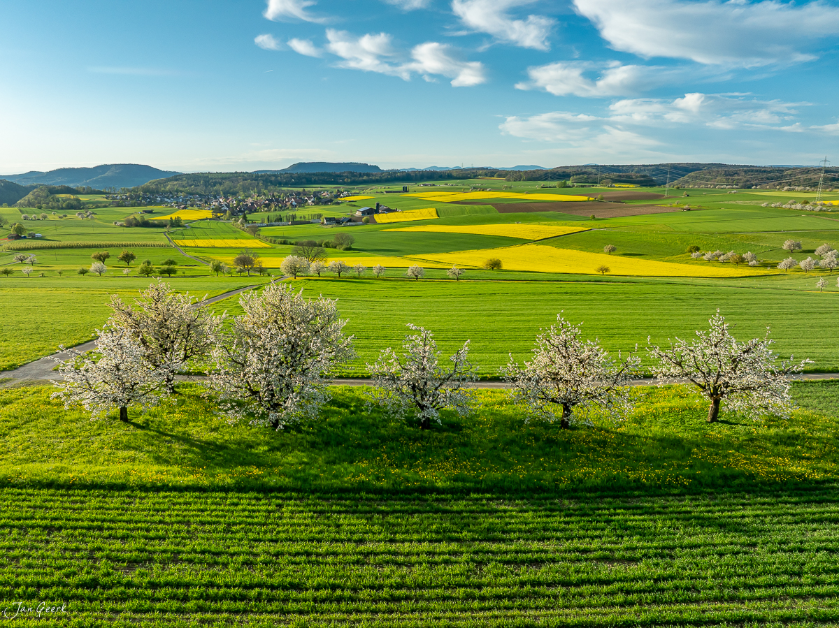 Kirschblüte Oltingen Frühling Baselbiet Luftaufnahme grüne Felder Schweiz Jan Geerk Fotograf Basel