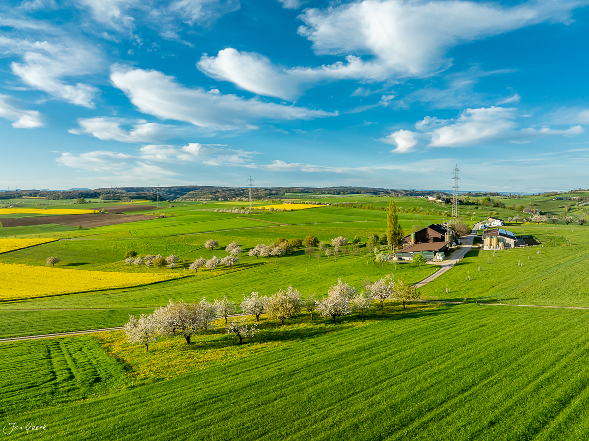 Kirschblüte Oltingen Frühling Baselbiet grüne Felder Schweiz Jan Geerk Fotograf Basel