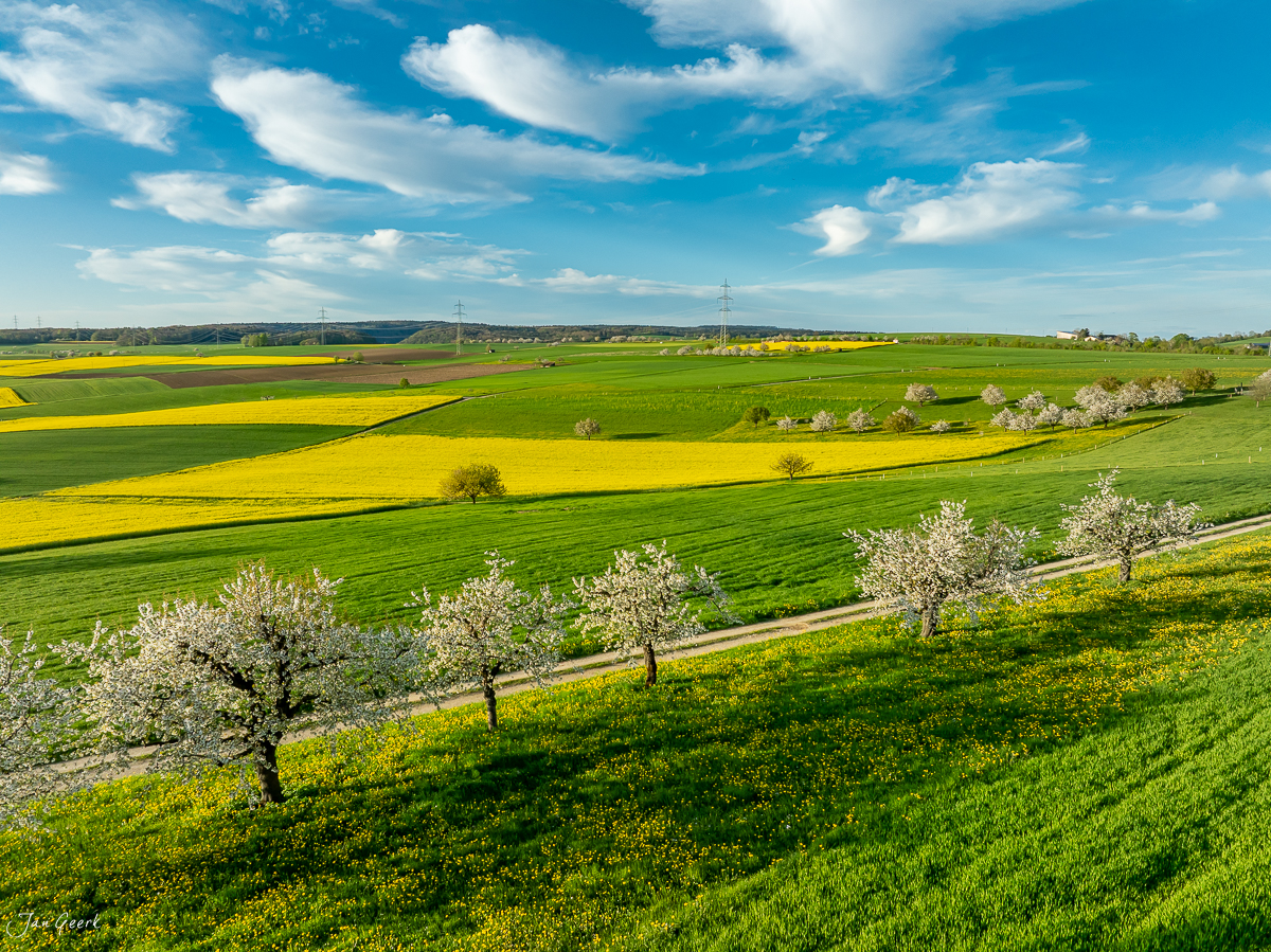 Kirschblüte und Rapsfelder im Frühling bei Oltingen, Baselland Schweiz – Jan Geerk Fotograf Basel