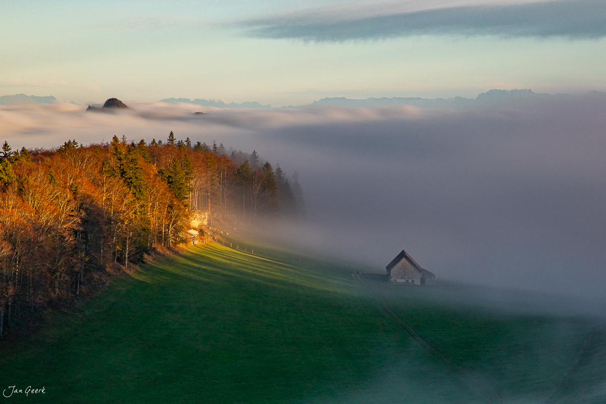 Herbstliches Nebelmeer am Passwang mit Waldweid und Laubwald im goldenen Morgenlicht Schweiz – Jan Geerk Fotograf Basel