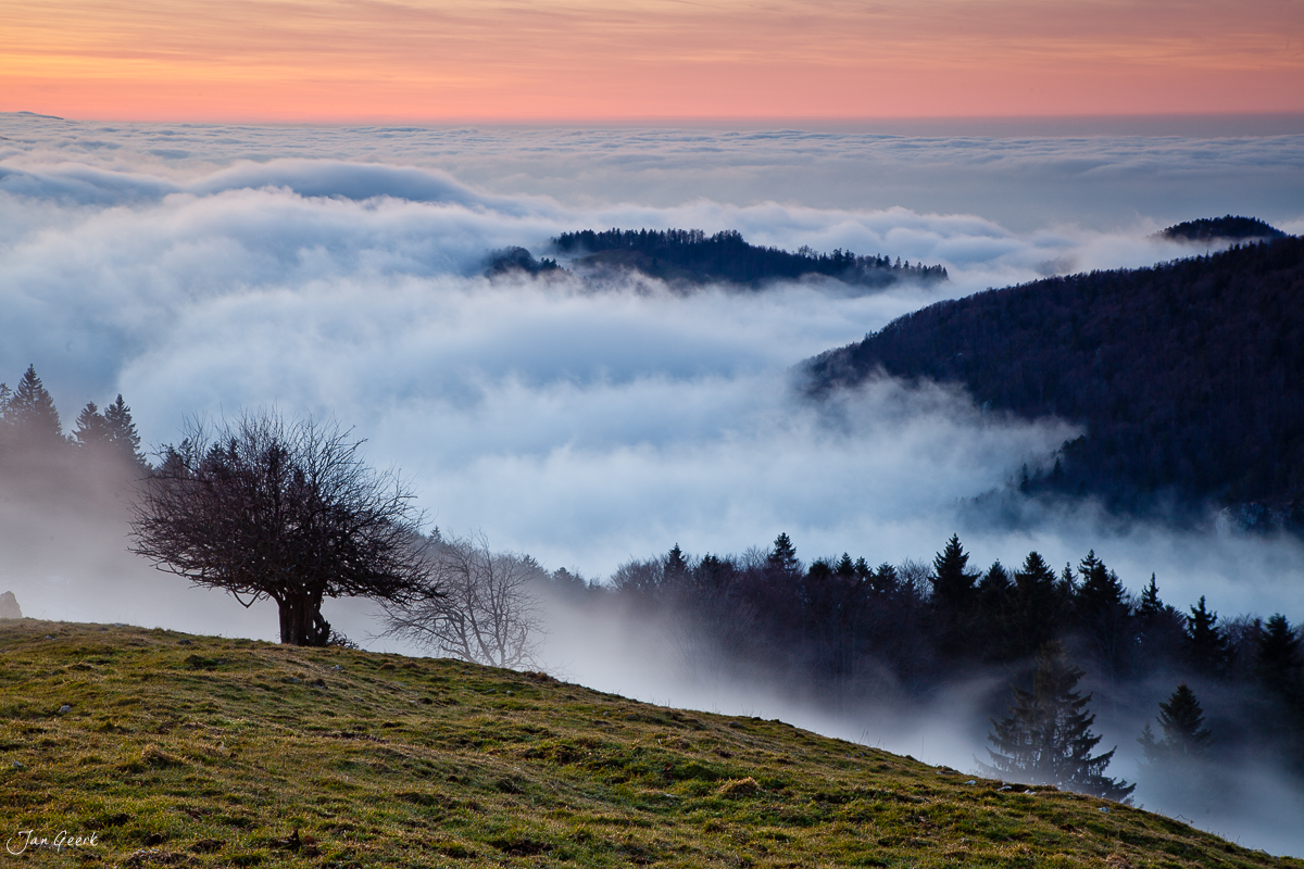 Nebelmeer über Passwang Jura Sonnenaufgang Nordwestschweiz – Jan Geerk Fotograf Basel