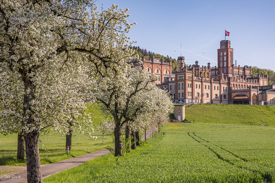 Kirschblüte am Höhenweg mit Schloss Feldschlösschen in Rheinfelden, Frühlingslicht, Nordwestschweiz – Jan Geerk Fotograf Basel