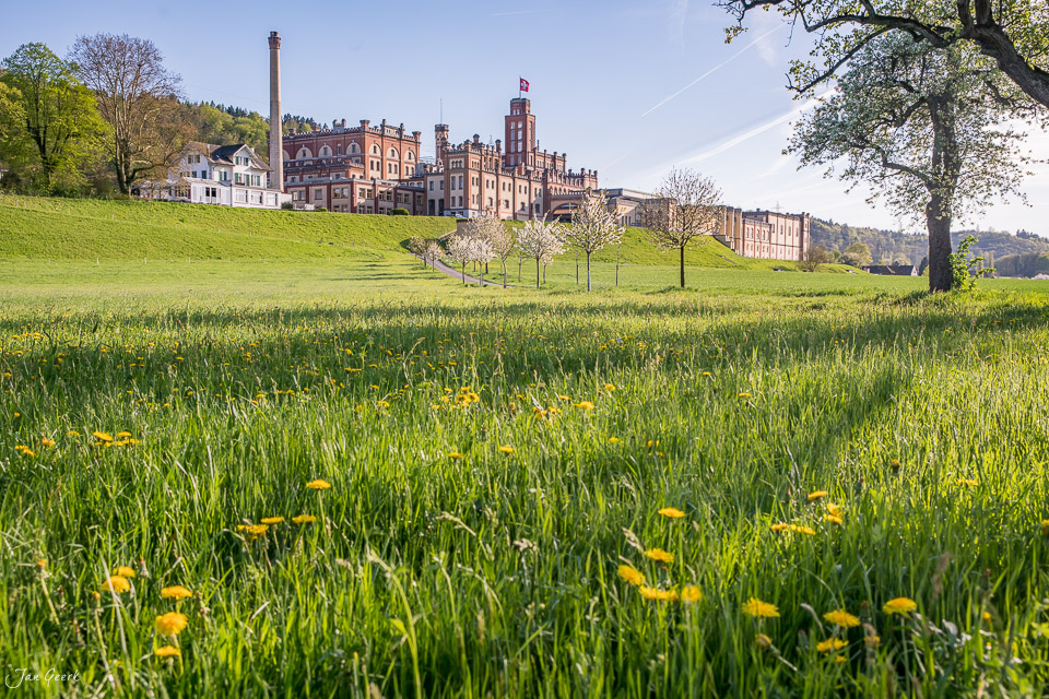 Feldschlösschen Rheinfelden mit Frühjahrswiese und Kirschblüten im Fricktal Schweiz – Jan Geerk Fotograf Basel