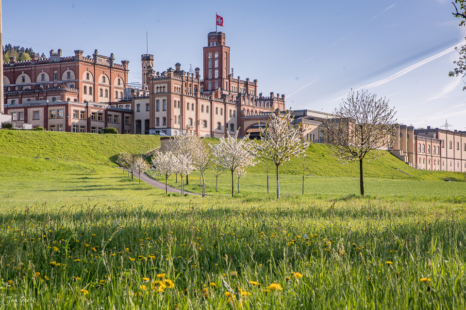 Feldschlösschen Rheinfelden mit Kirschblüten im Frühling, grüne Wiese, Nordwestschweiz Schweiz – Jan Geerk Fotograf Basel