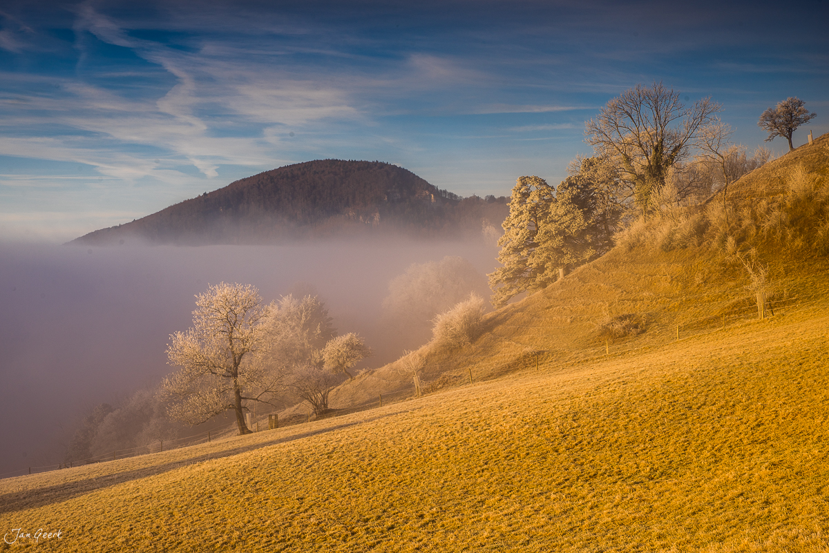 Roggenfeld mit Nebelmeer über dem Jura bei Oensingen in der Herbststimmung Schweiz – Jan Geerk Fotograf Basel