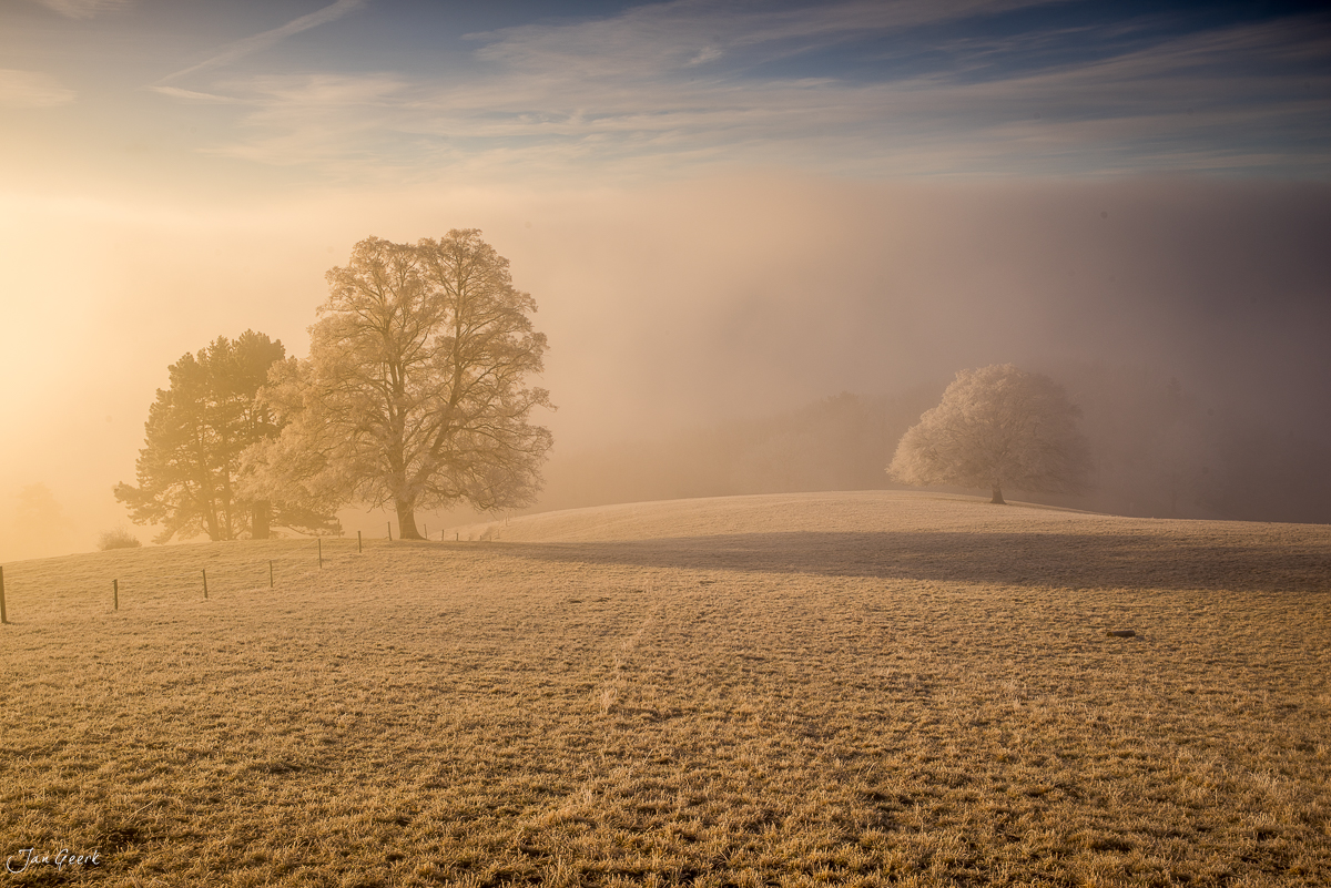Nebeliges Herbstlandschaft mit Roggenfeld und Bäumen am Roggenberg in der Solothurner Jura bei Oensingen, Schweiz – Jan Geerk Fotograf Basel