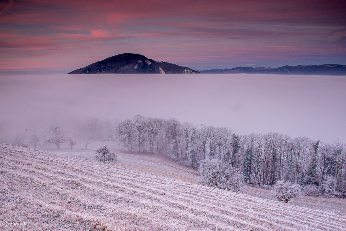 Nebelmeer mit Roggenberg und Jura im Herbst, Solothurn Schweiz – Jan Geerk Fotograf Basel