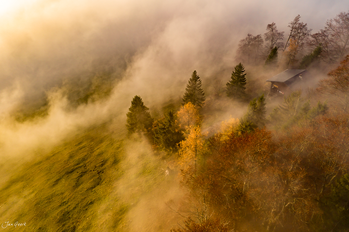 Nebelmeer mit Lärchen und Fichten am Scheltenpass im Herbst, Nordwestschweiz – Jan Geerk Fotograf Basel