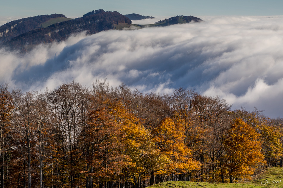 Nebelwelle über Herbstwald am Scheltenpass mit Jura-Bergen im Hintergrund, Schweiz – Jan Geerk Fotograf Basel