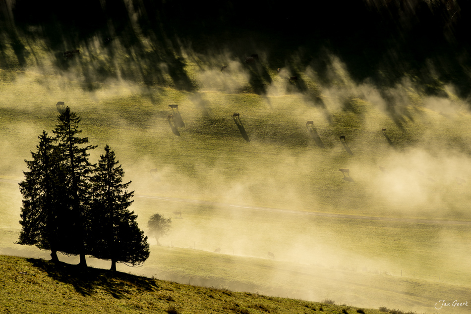 Nebel und Koniferen am Scheltenpass herbstliche Stimmung Jura Schweiz – Jan Geerk Fotograf Basel