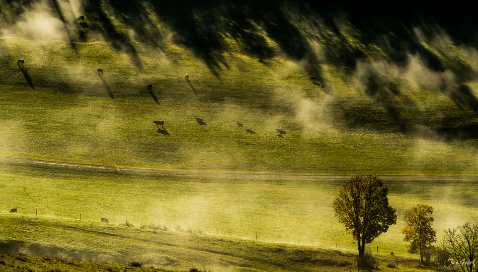 Herbstliche Nebelwelle über Wiesen und Bäume am Scheltenpass im Jura, Solothurn, Schweiz – Jan Geerk Fotograf Basel