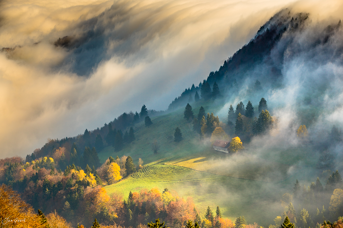 Herbstliche Nebelwelle über dem Scheltenpass mit Mischwäldern und beleuchteten Feldern in der Schweizer Nordwestschweiz – Jan Geerk Fotograf Basel