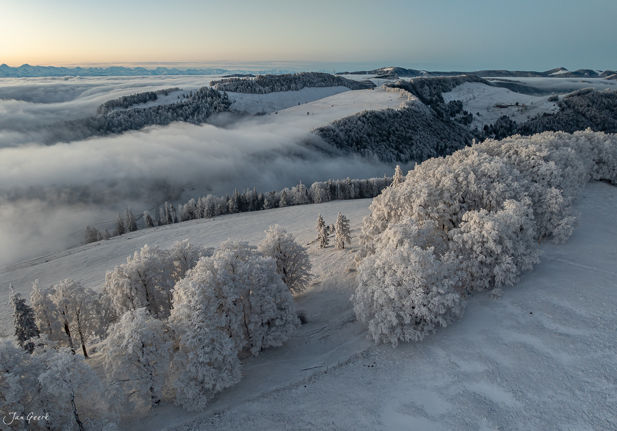 Verschneite Fichten und Nebelmeer am Scheltenpass im Kanton Solothurn. Winterliche Luftaufnahme mit Rauhreif und alpiner Morgenstimmung – Schweiz – Jan Geerk Fotograf Basel