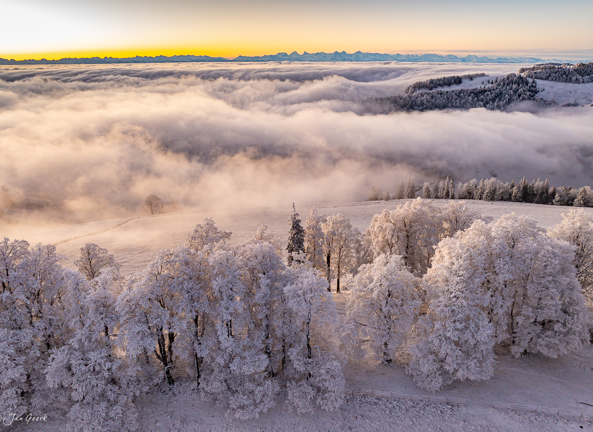 Raureifbäume und Nebelwelle am Scheltenpass im Wintermorgen Nordwestschweiz – Jan Geerk Fotograf Basel