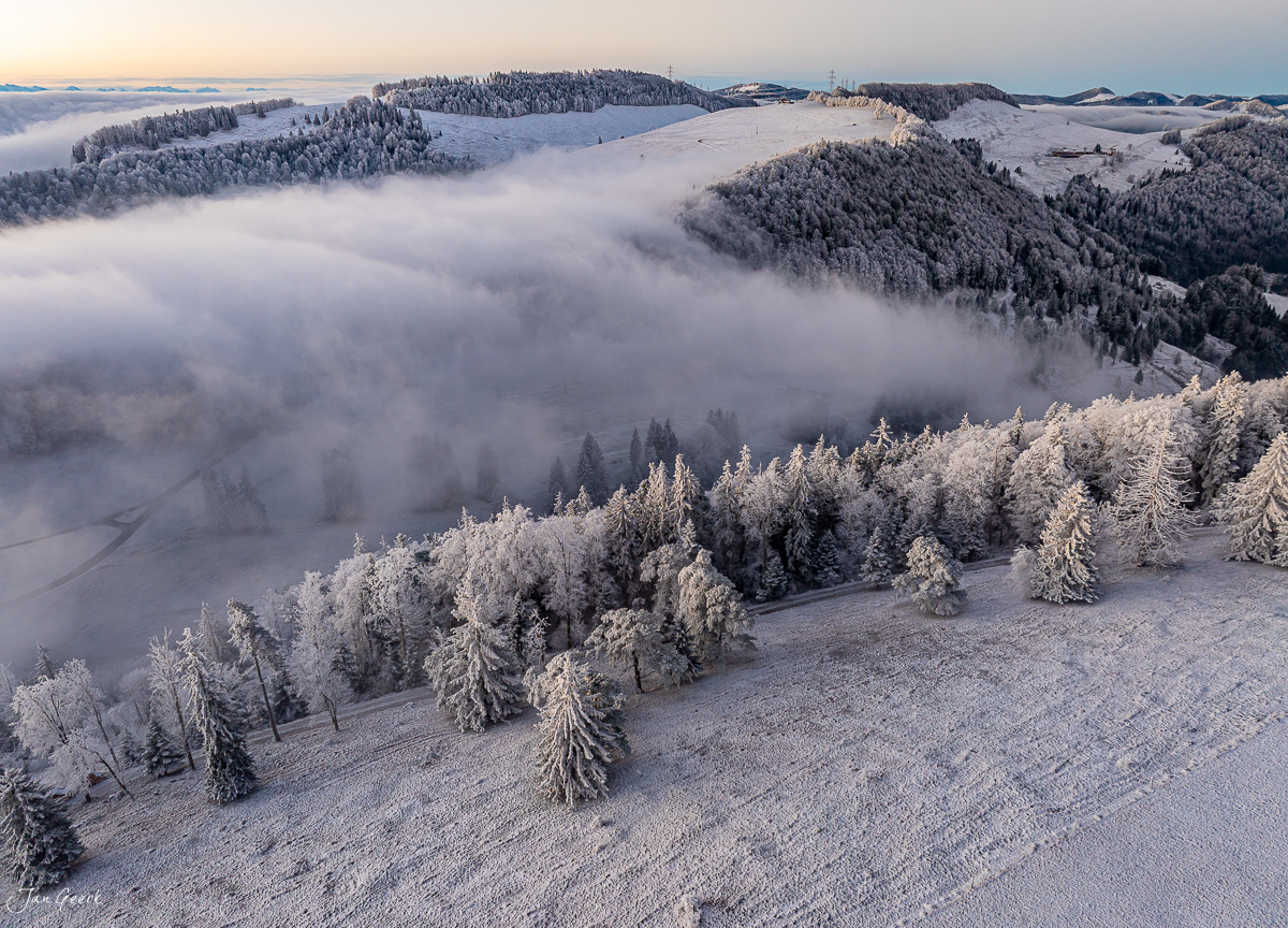 Reifbedeckte Fichten und Nebelwelle am Scheltenpass im Wintermorgen, Schweiz – Jan Geerk Fotograf Basel
