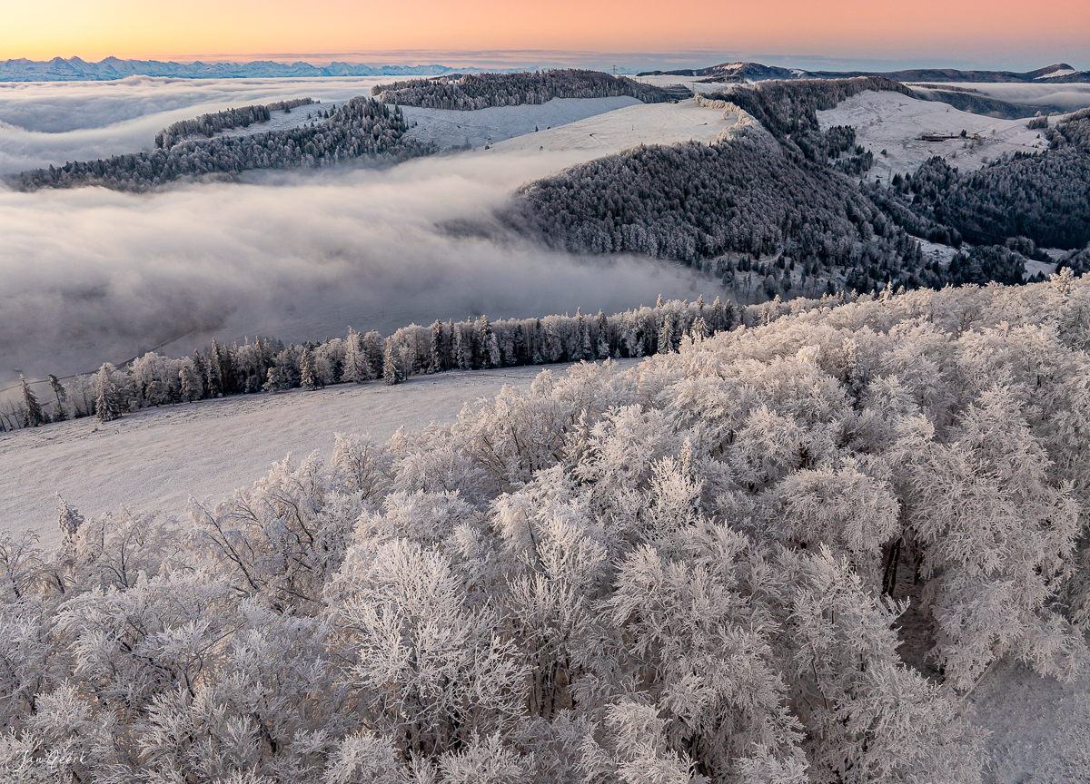 Gefrorene Bäume und Nebelwellen beim Scheltenpass im Wintermorgen Nordwestschweiz – Jan Geerk Fotograf Basel