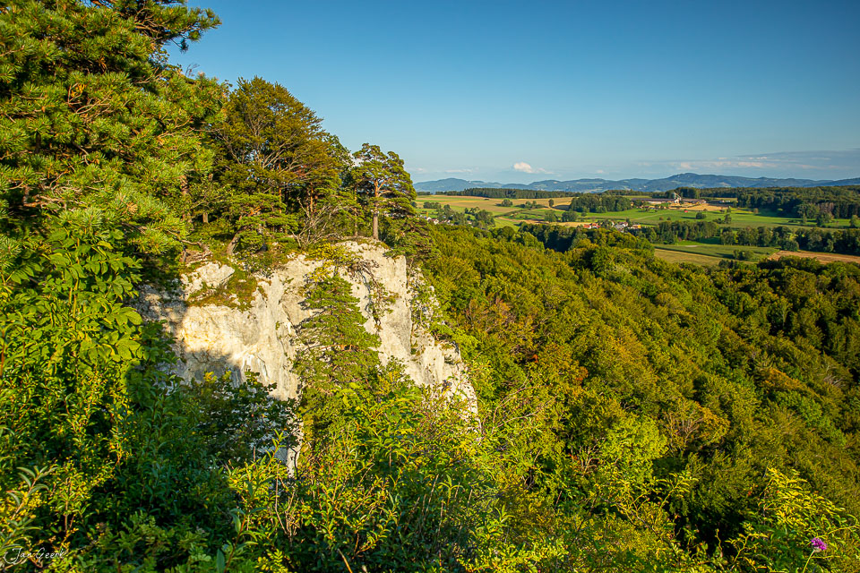 Weisser Felsen Gempen mit grünem Wald und Ausblick auf Juraketten Baselland Schweiz – Jan Geerk Fotograf Basel