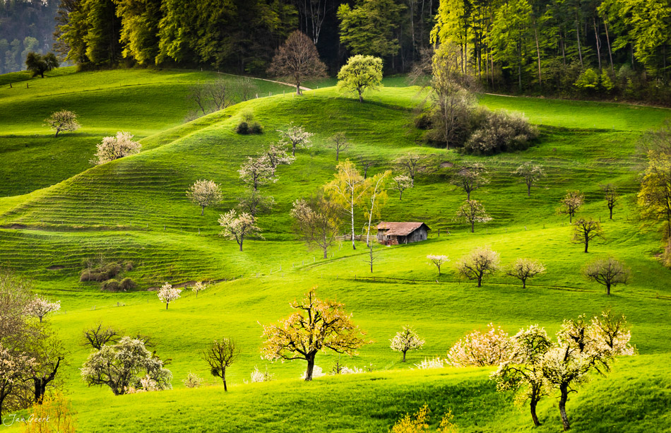Blühende Obstbäume in grüner Frühjahrslandschaft mit Bauernhaus in Titterten, Baselland, Schweiz – Jan Geerk Fotograf Basel