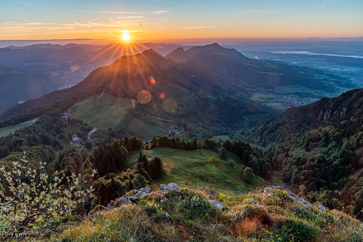 Sonnenaufgang über dem Weissenstein mit Kantlicht und Jurawaldlandschaft im Sommer – Jan Geerk Fotograf Basel Schweiz