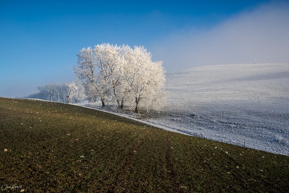 Raureif-Bäume bei Wisen im Baselland, Winterlandschaft mit Nebelwelle, Schweiz – Jan Geerk Fotograf Basel