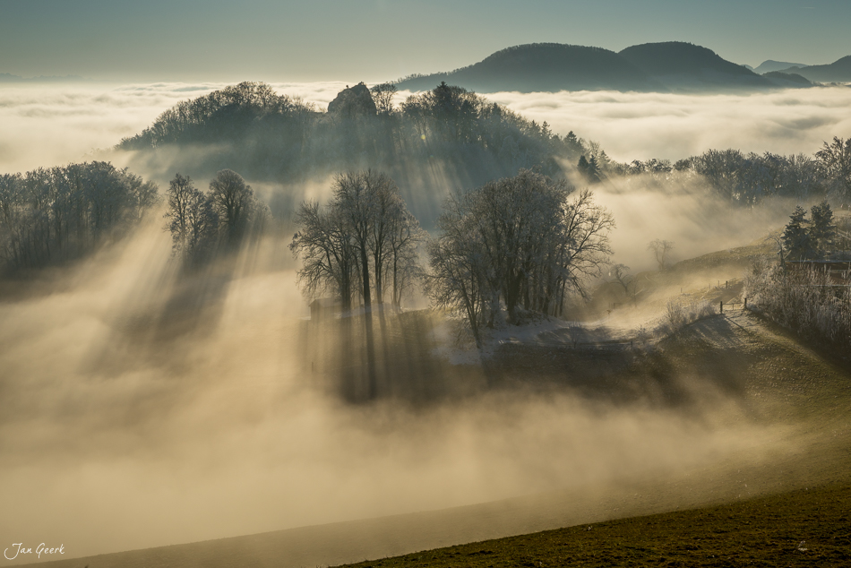 Nebelige Winterlandschaft am Wisenberg mit Bäumen und Nebelwellen in der Nordwestschweiz – Jan Geerk Fotograf Basel