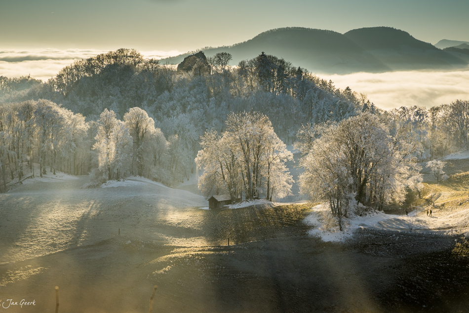 Winterlandschaft Wisenberg mit Reif, Nebel und Bäumen in Baselland Schweiz – Jan Geerk Fotograf Basel