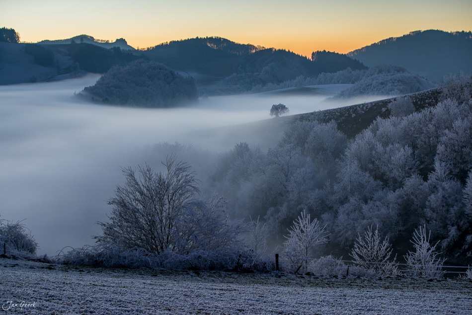 Nebelige Winterlandschaft mit Reif über Wisen, Baselland, Schweiz – Jan Geerk Fotograf Basel