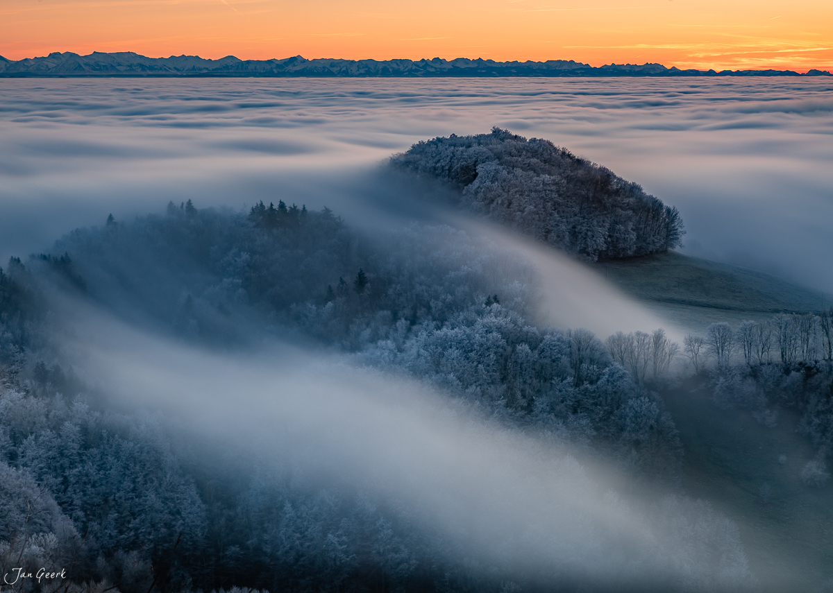 Nebelmeer über Wisenberg mit Raureif bedecktem Wald und Alpenblick bei Sonnenaufgang Baselland Schweiz Jan Geerk Fotograf Basel