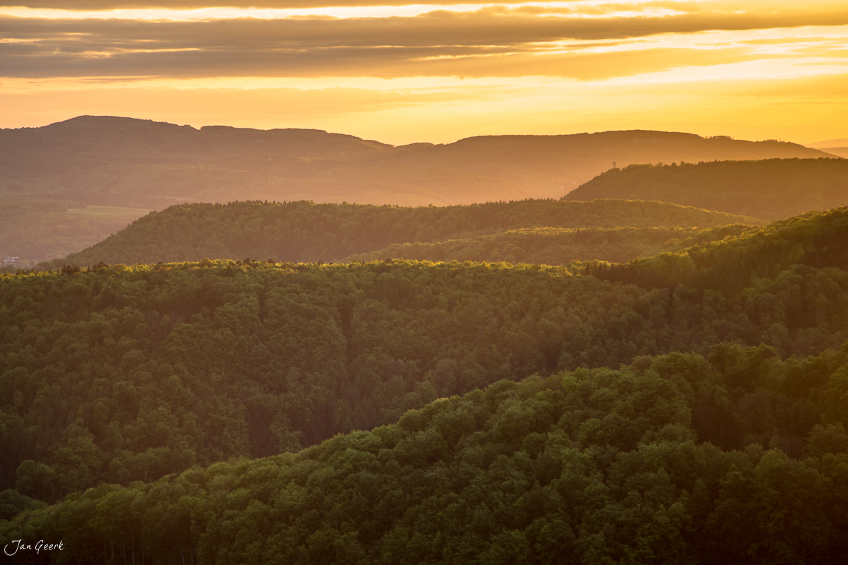 Waldlandschaft Wintersingen Sonnenaufgang Baselbiet Schweiz Jan Geerk Fotograf Basel