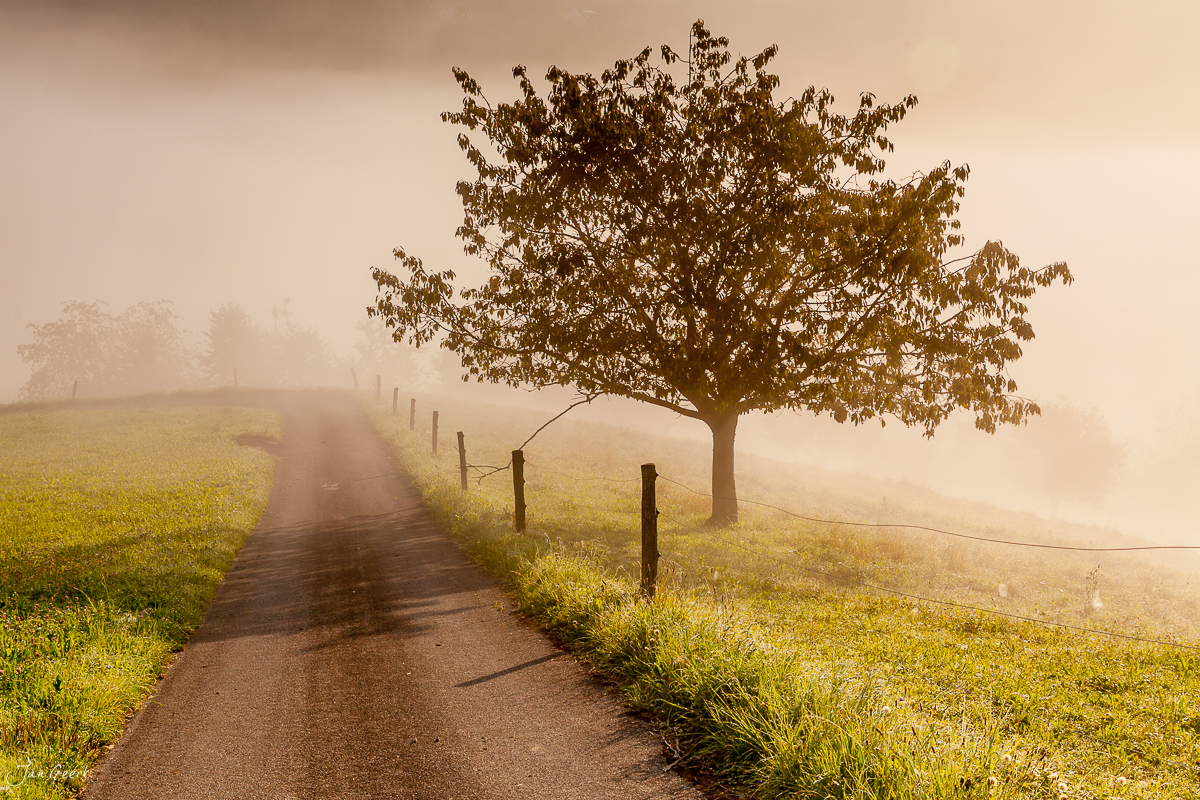 Landstraße Nebel Herbst Baselland Schweiz – Jan Geerk Fotograf Basel