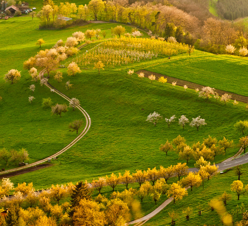 Luftaufnahme Frühjahrslandschaft mit blühenden Obstbäumen grüne Wiesen Nordwestschweiz Schweiz Jan Geerk Fotograf Basel