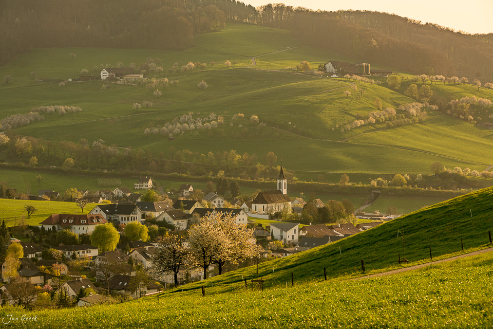 Dorf Arisdorf mit Kirche in grüner Hügellandschaft bei Frühjahrsblüte Baselland Schweiz Jan Geerk Fotograf Basel