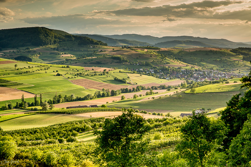 Grüne Hügellandschaft Baselland Sommer Schweiz Jan Geerk Fotograf Basel