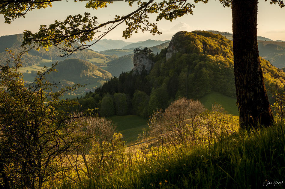 Herbstliche Berglandschaft mit Blick ins Tal vom Bölchen Baselland golden beleuchtete Wälder Schweiz Jan Geerk Fotograf Basel