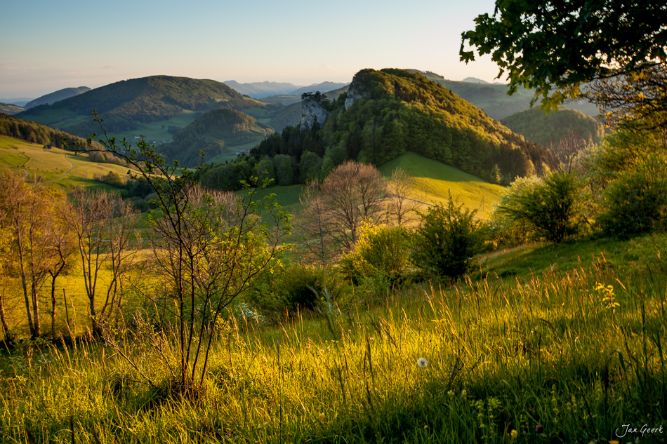 Grüne Hügellandschaft mit Bergblick beim Bölchen im Baselland, goldenes Frühlingslicht, Schweiz – Jan Geerk Fotograf Basel