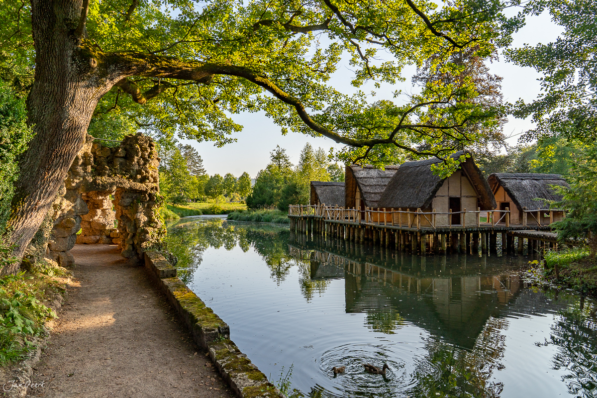 Historische Pfahlbausiedlung an der Gösgen mit altem Baum, Sommer, Mittelland Schweiz – Jan Geerk Fotograf Basel