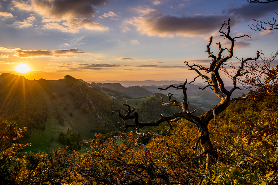 Dorriger Baum bei Sonnenaufgang am Chellechöpfli mit Jurahügellandschaft, Baselbiet Schweiz – Jan Geerk Fotograf Basel