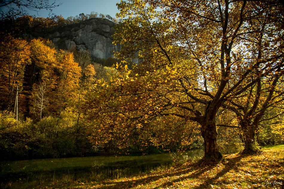 Herbstliche Laubwälder am Erzberg Jura mit goldenem Laub in der Nebelwelle Solothurn Schweiz Jan Geerk Fotograf Basel