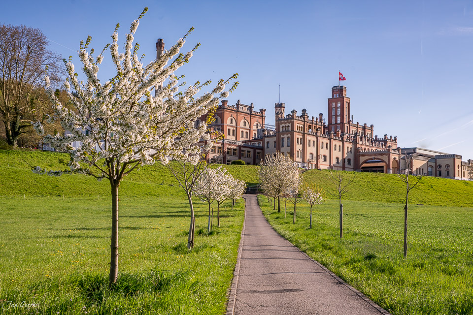 Kirschblüte Rheinfelden Frühjahr Nordwestschweiz Schweiz – Jan Geerk Fotograf Basel