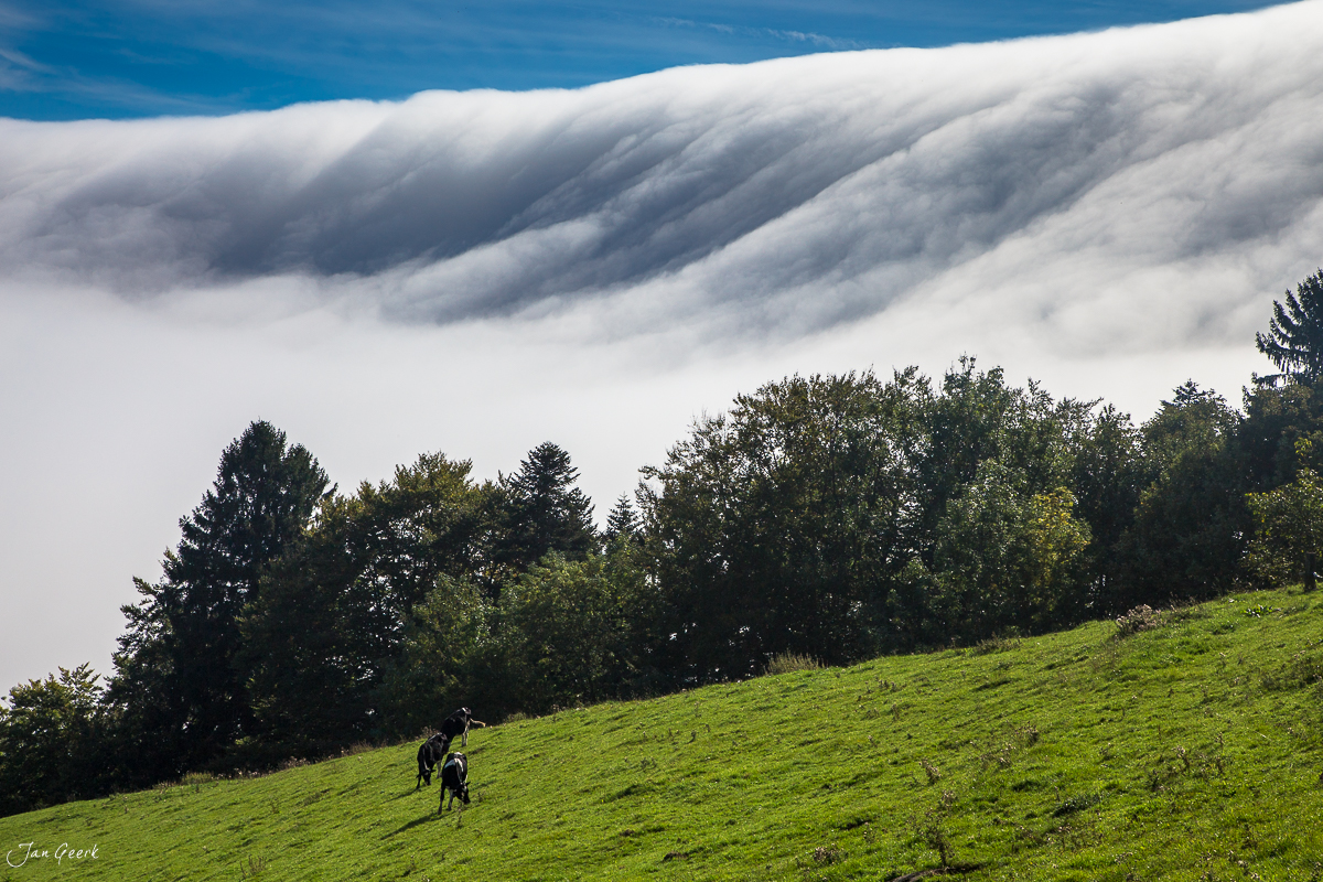 Wanderer auf grüner Wiese mit Nebelhügeln Bölchen Herbst Nordwestschweiz – Jan Geerk Fotograf Basel