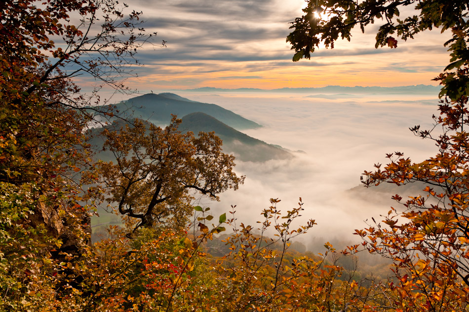 Herbstliche Berglandschaft Stafelegg Wasserfluh Sonnenaufgang Jura Schweiz Jan Geerk Fotograf Basel