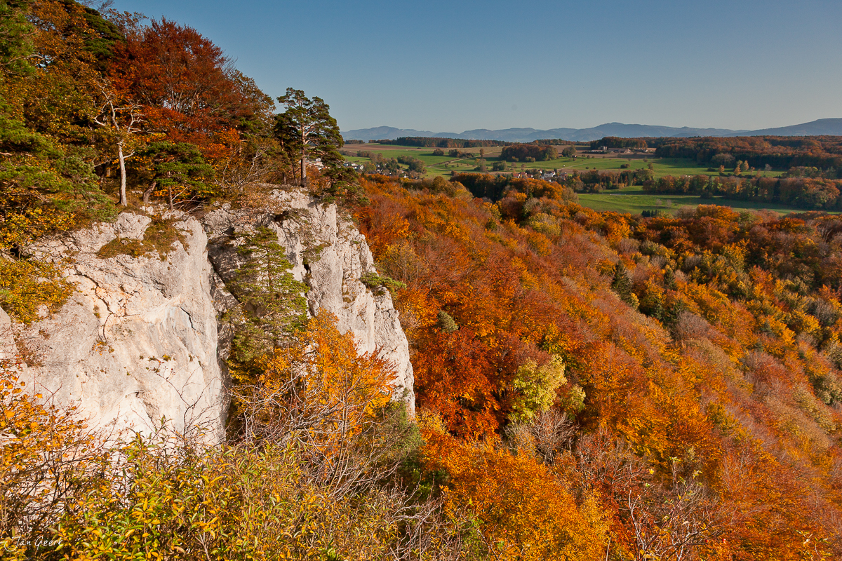 Kalkfelsen Schartenfluh Herbstwald Blick Ermitage Arlesheim Baselland Schweiz
